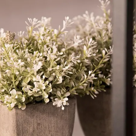 Palacio Holiday home *