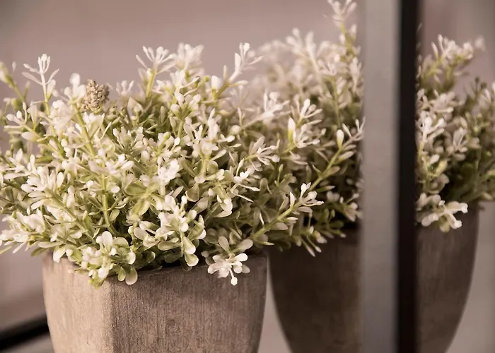 Palacio Сasa de vacaciones *